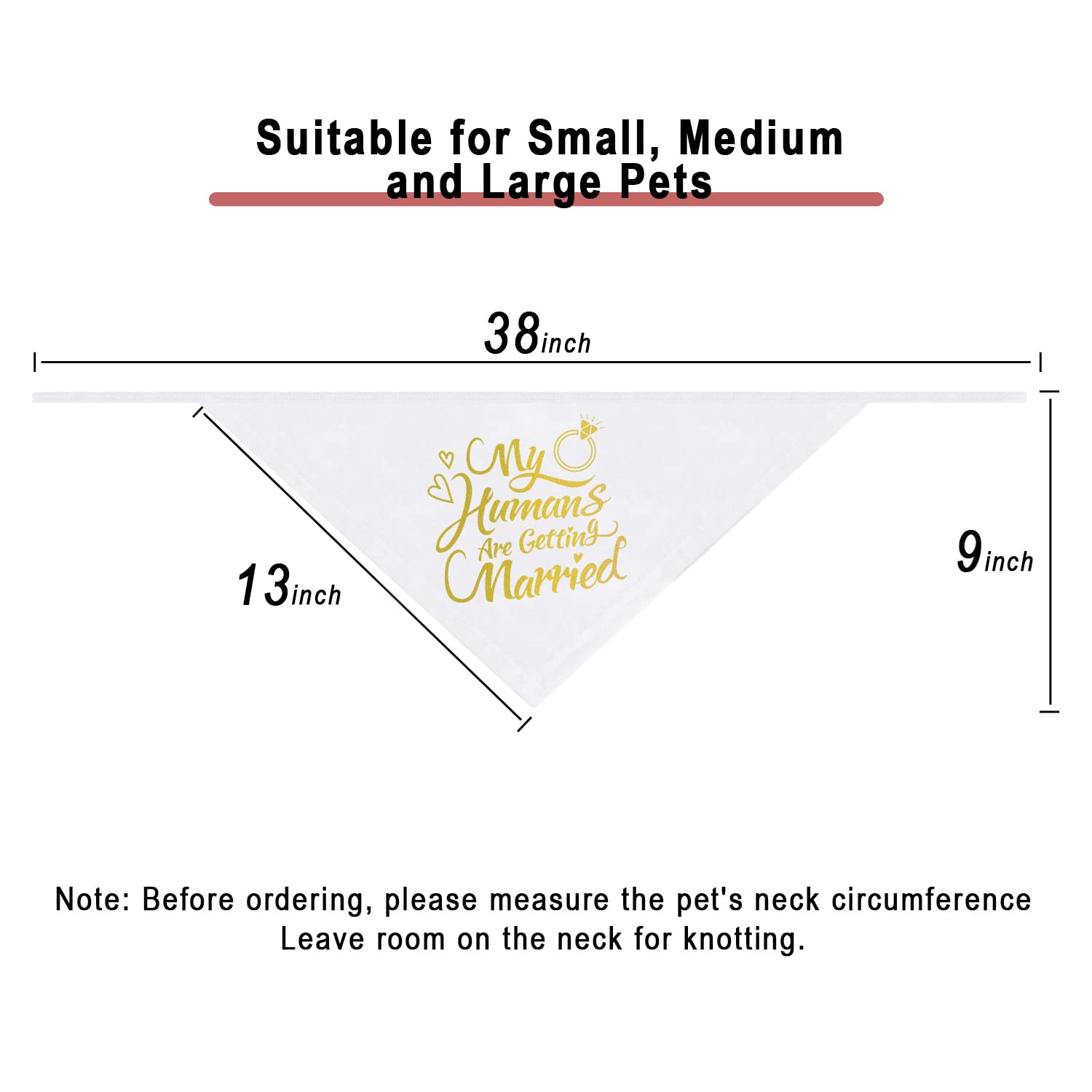 Dzmodz gold pet scarf, versatile accessory for celebrations and photos.