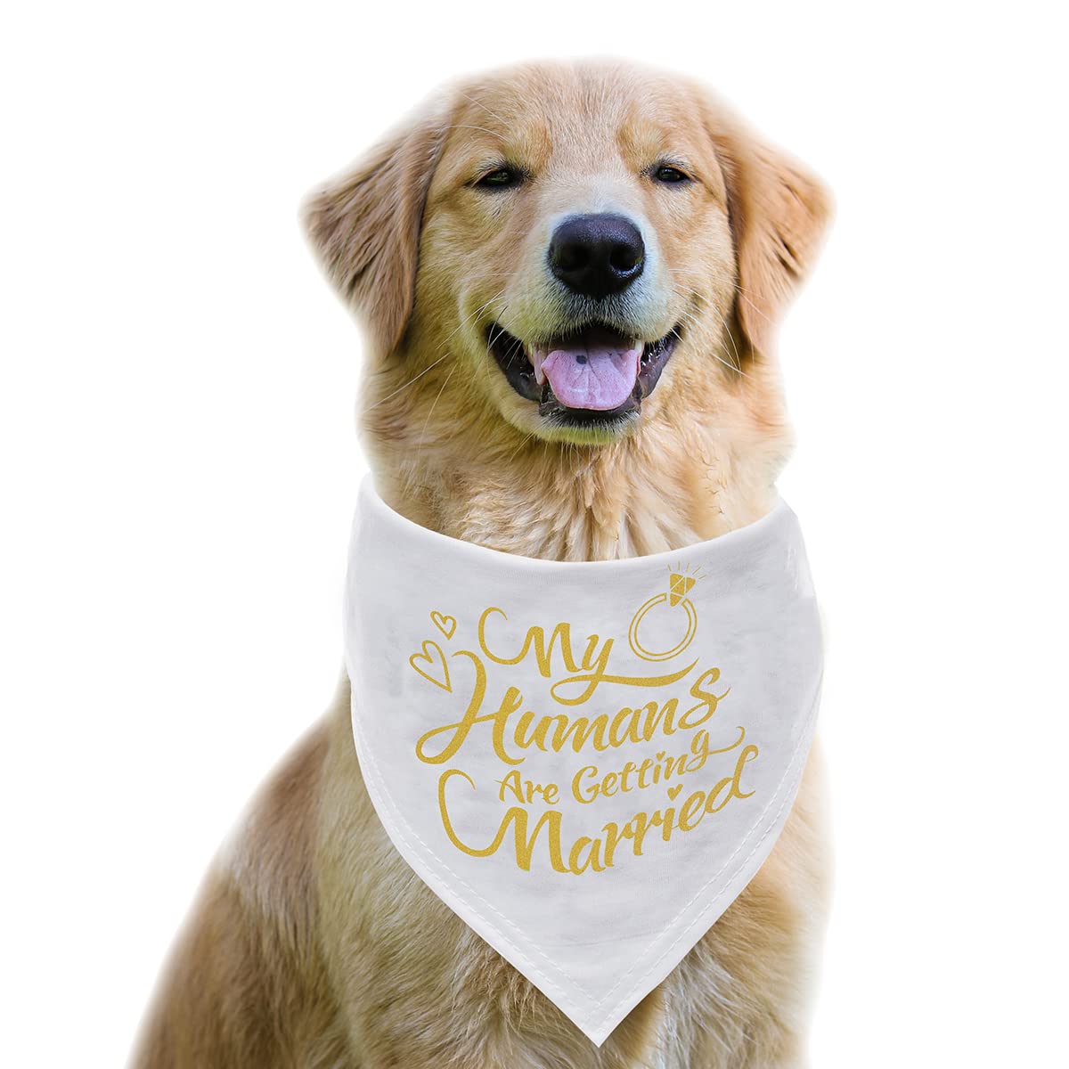 Dzmodz dog bandana with gold text, stylish wedding accessory for pets.