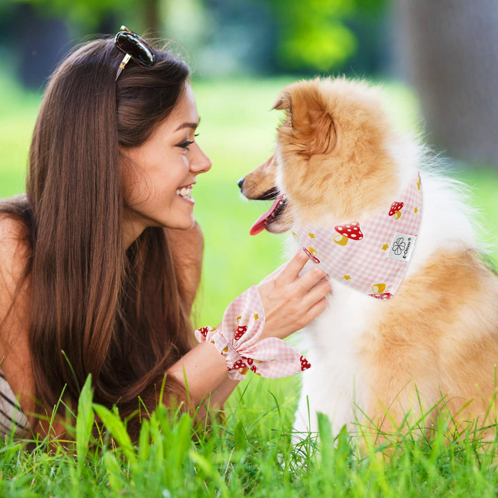 E-Clover adjustable neck fit up to 14 inches for small dogs.