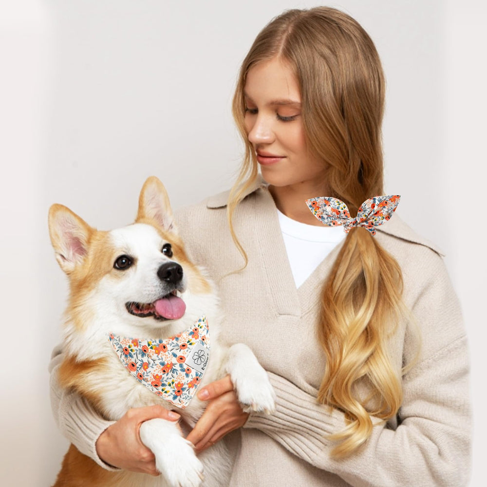 E-Clover bandana size guide helps you fit small dogs comfortably.