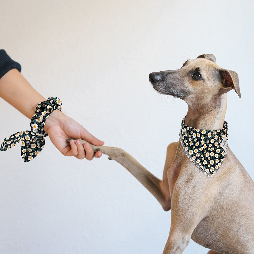 E-Clover bow scrunchie worn as wrist accessory with matching set.