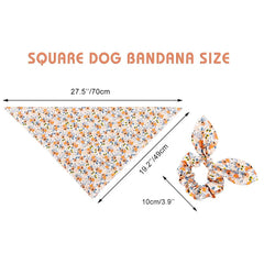 E-Clover bandana used as travel and photo prop for adventures