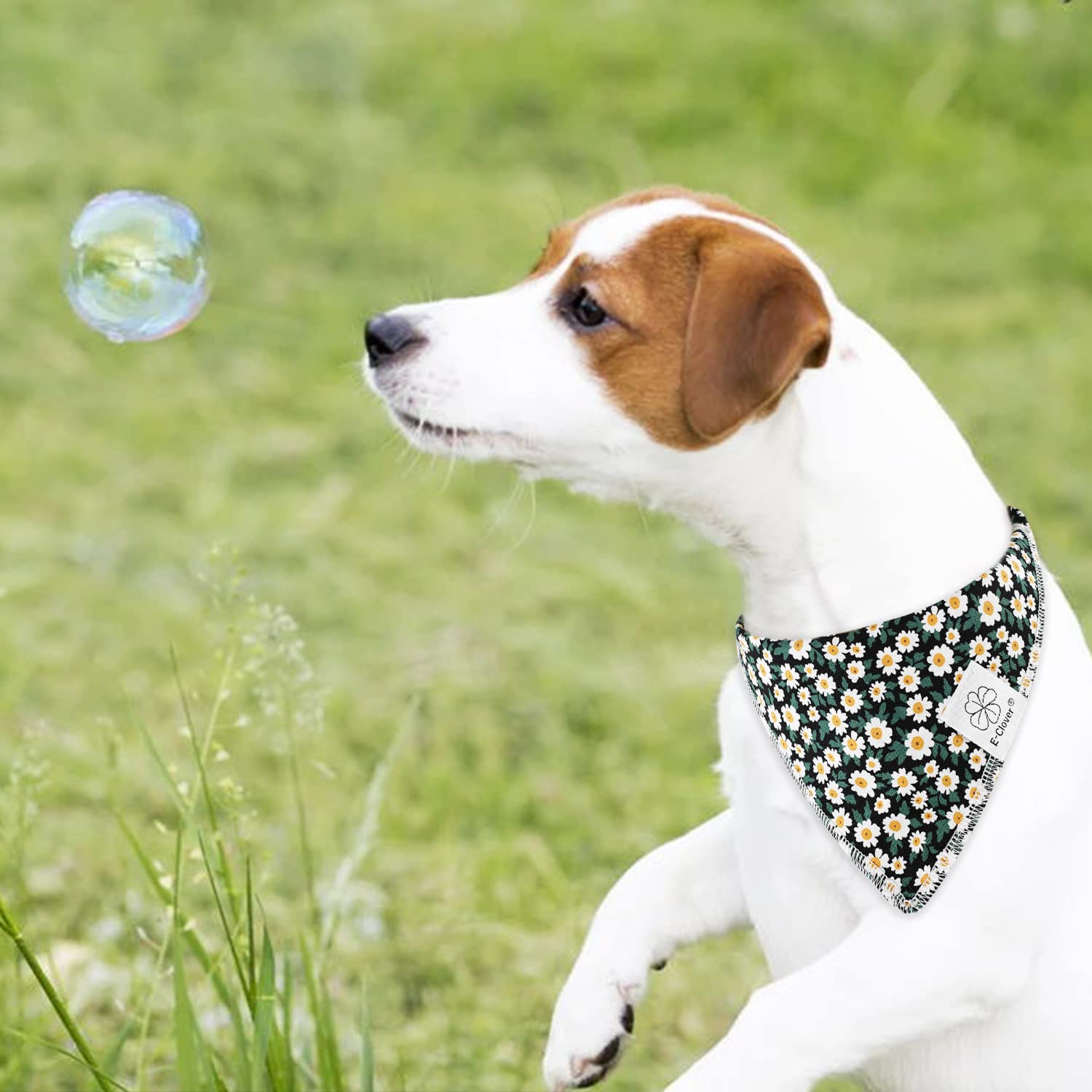 E-Clover dog bandana close-up in soft breathable polyester fabric for daily wear.