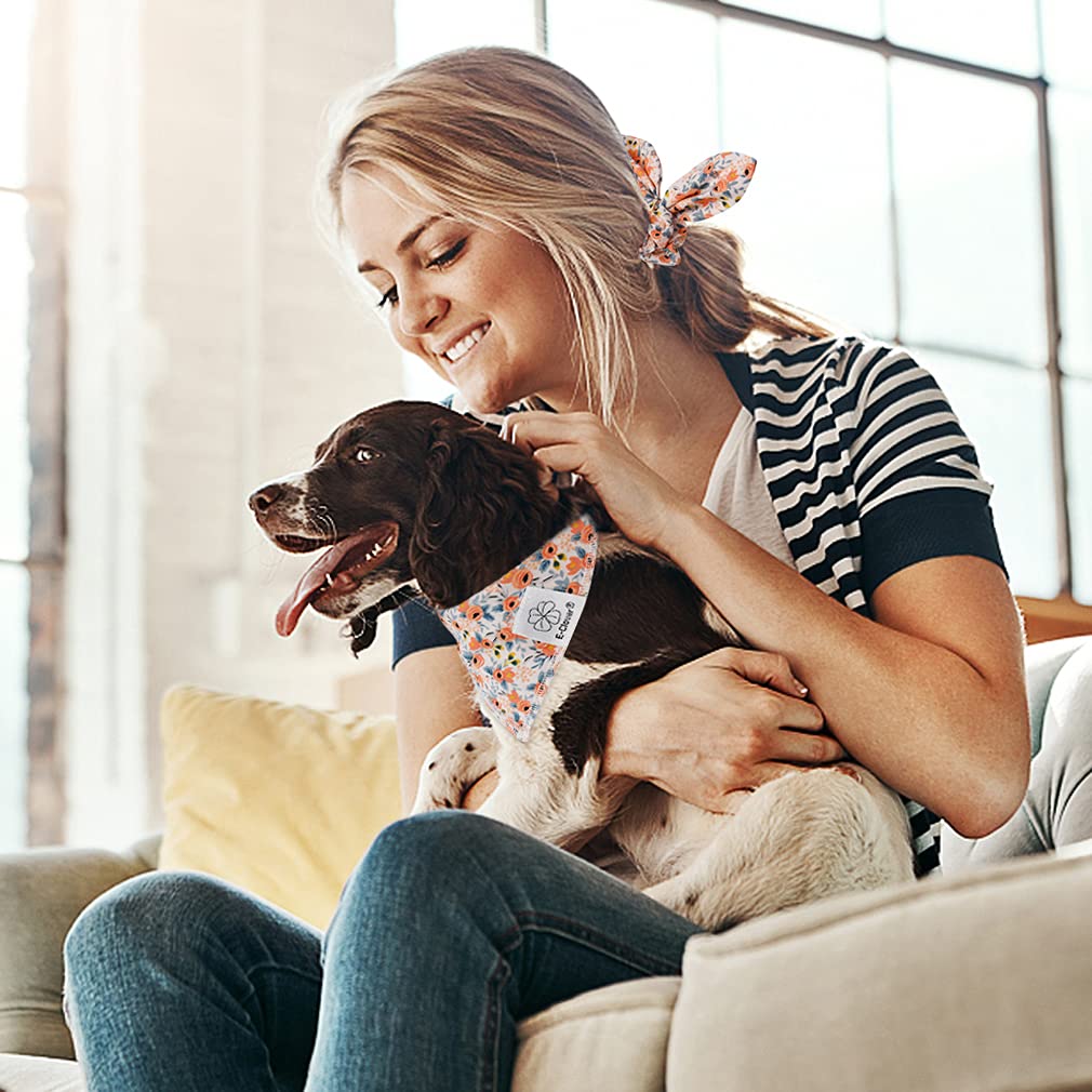 E-Clover holiday bandana creates a festive look for celebrations and gifting.
