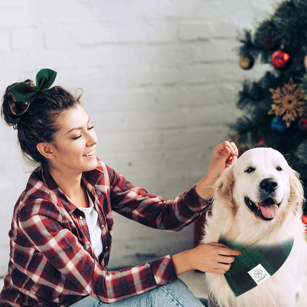 E-Clover matching set for cohesive pet outfits during holidays and events.