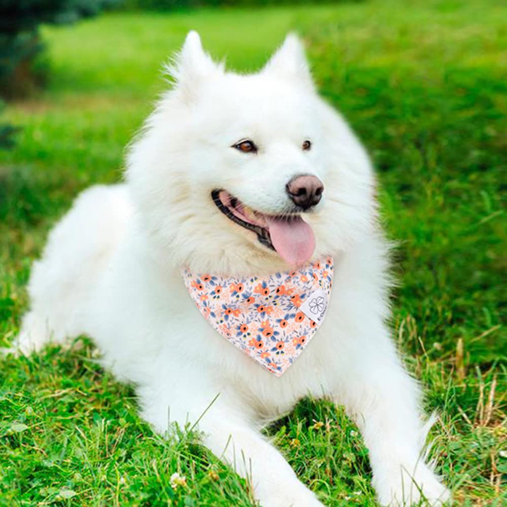E-Clover machine washable dog bandana for easy care after adventures