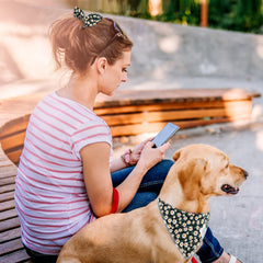 E-Clover matching bandana and scrunchie on pets during travel for coordinated looks.