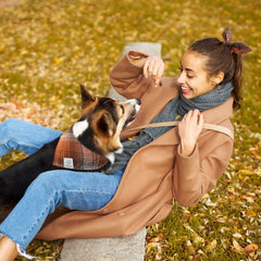 E-Clover matching scrunchie brown-plaid highlights coordinating owner and pup outfits.