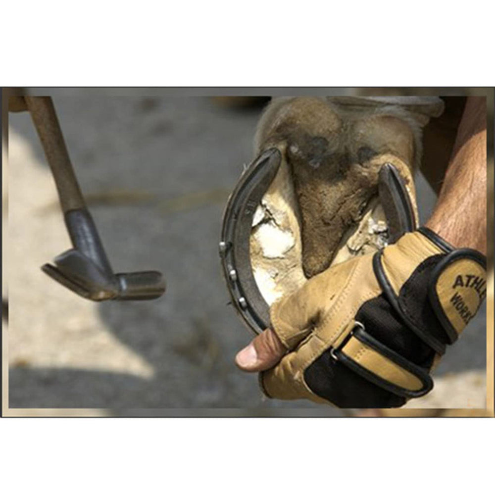E-outstanding E3 nails in-use demonstrate quick securement at hoof