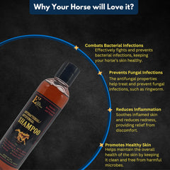 E3 shampoo being applied on horse and dog demonstrates versatile grooming routine.
