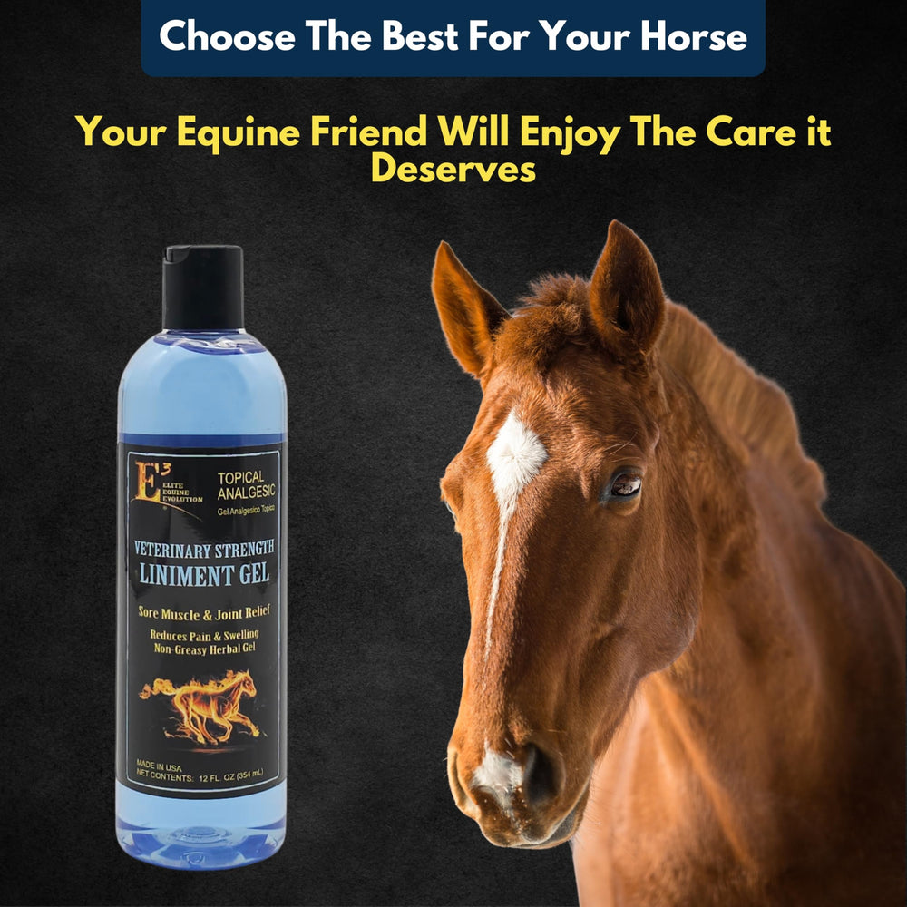E3 Veterinary Strength Liniment Gel supports joint comfort for arthritis-related mobility.