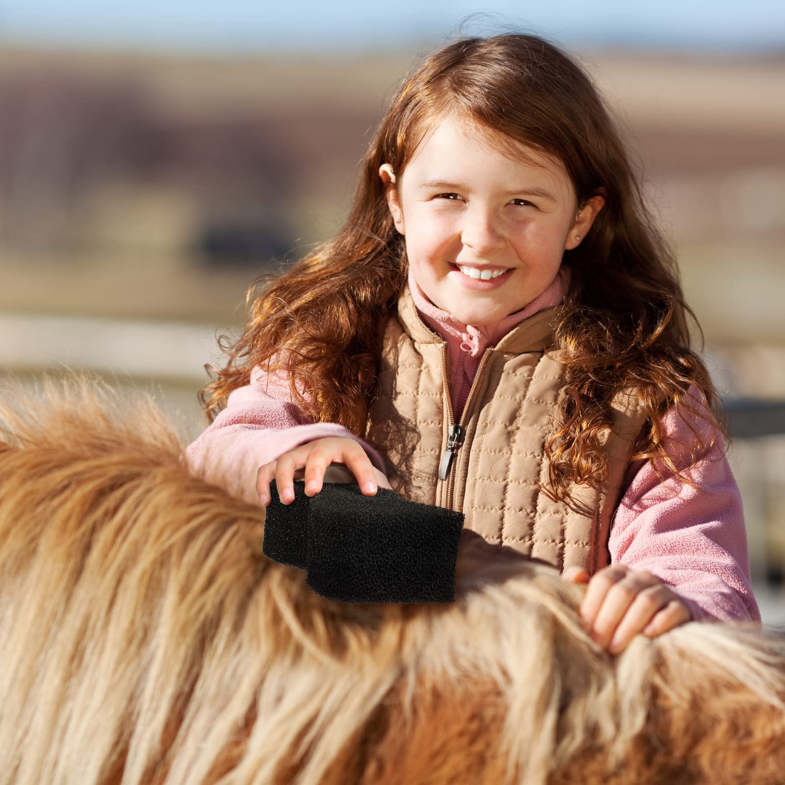 Eaasty horse sponges hang to dry—easy storage in a toolbox.