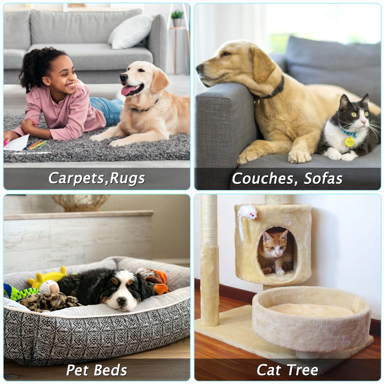 Eaersan back-friendly cleaning design makes pet hair chores feel lighter.