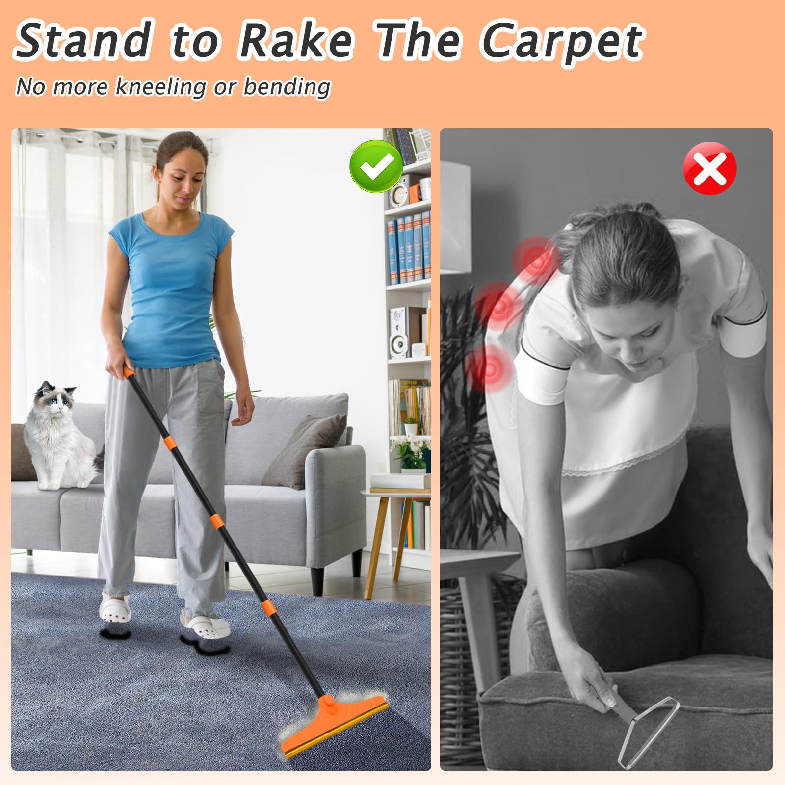 Eaersan pet hair removal on rugs and carpets for dogs and cats