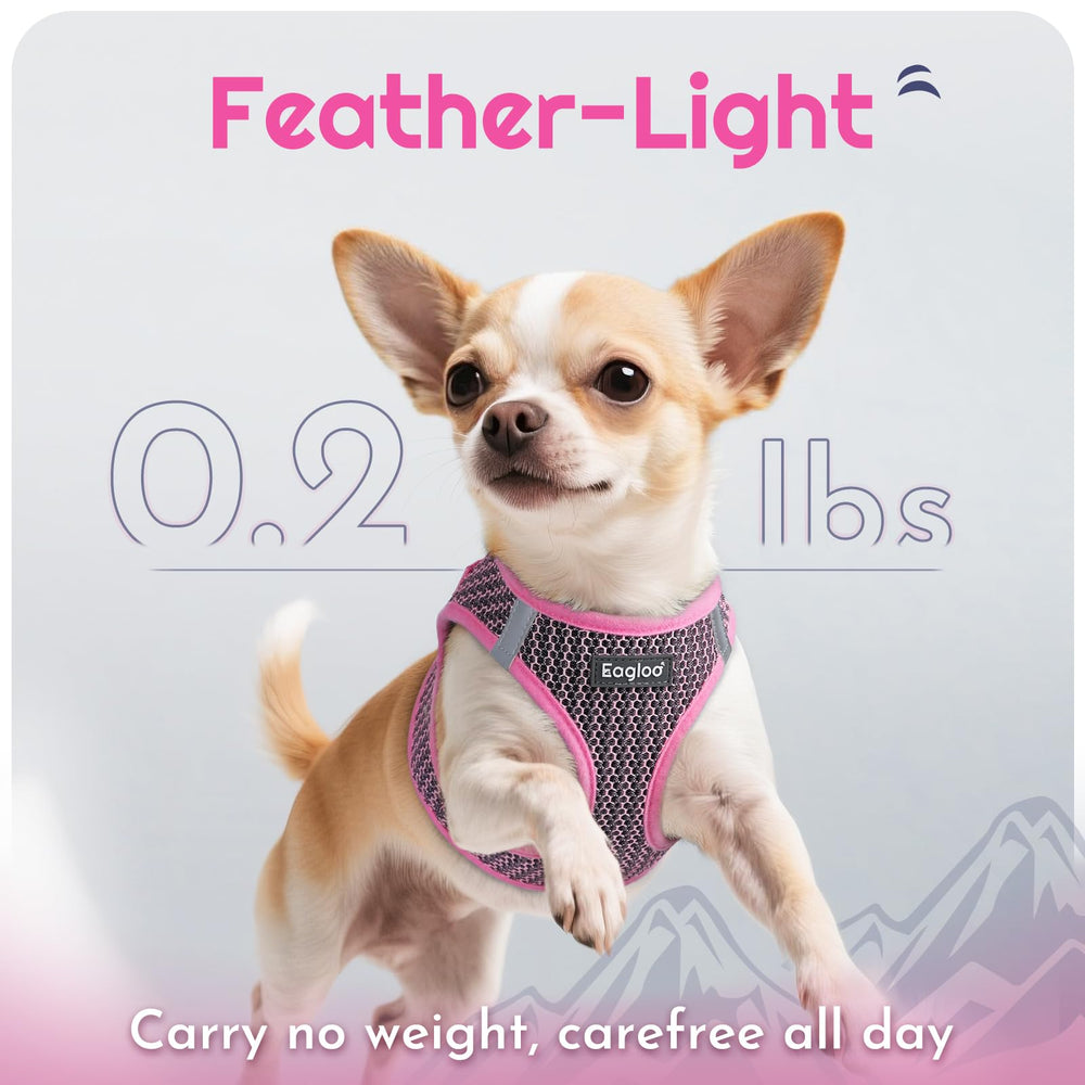 Eagloo 5-1ft leash with padded handle offers comfortable control during adventures.
