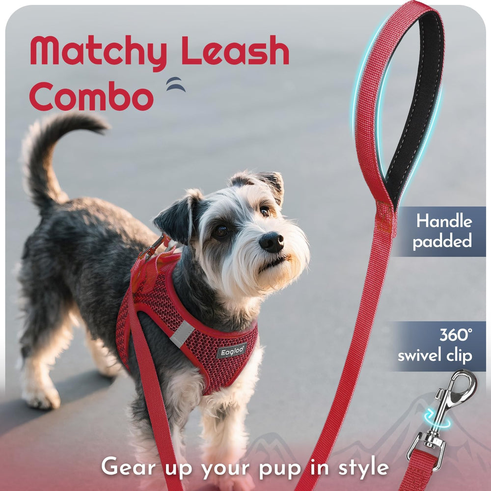 Eagloo back D-rings with a padded leash handle for control and comfort.