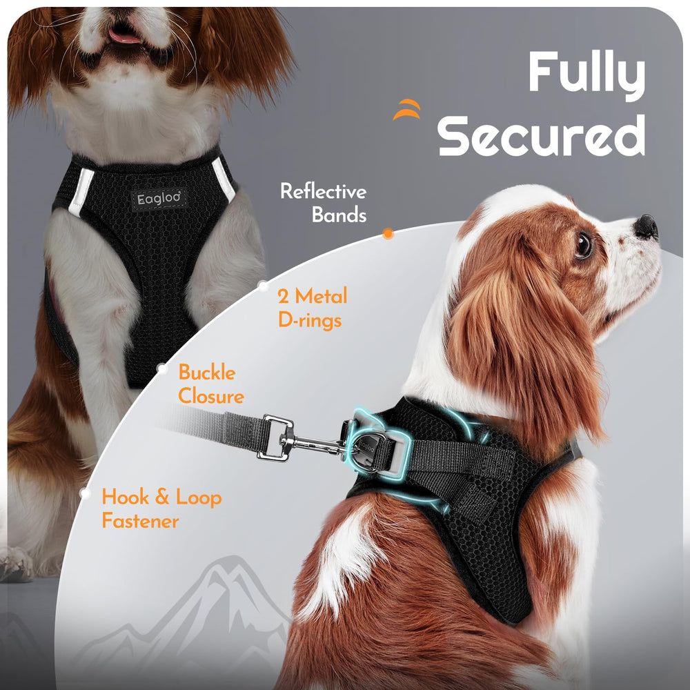Eagloo strong buckle and two back D-rings ensure secure attachment.
