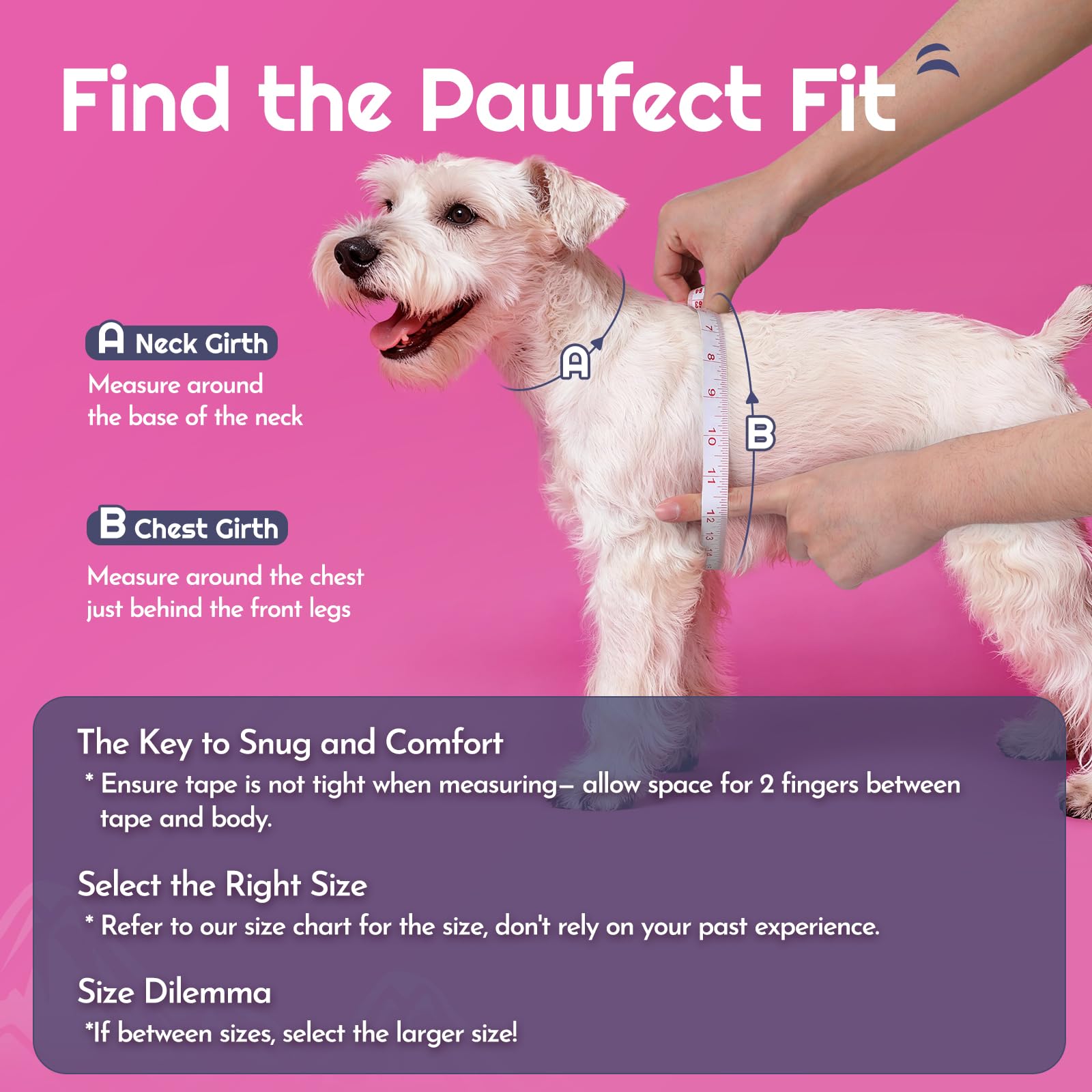 Eagloo breathable soft mesh harness emphasizes comfort during extended outings.