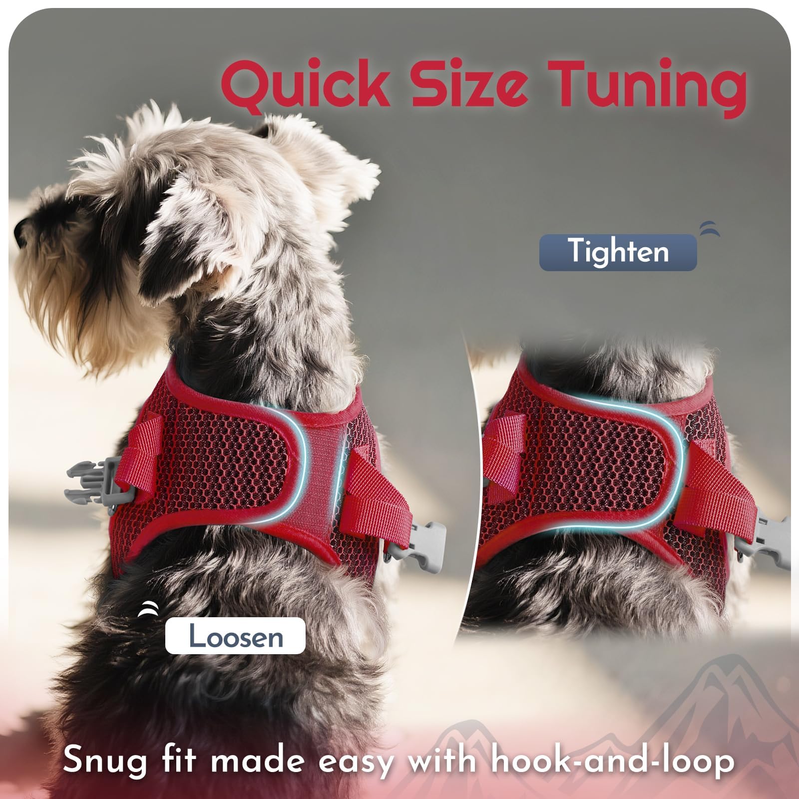 Eagloo color matching red harness and leash set for coordinated style.