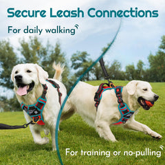 Eagloo dog harness back view highlights back ring and handle