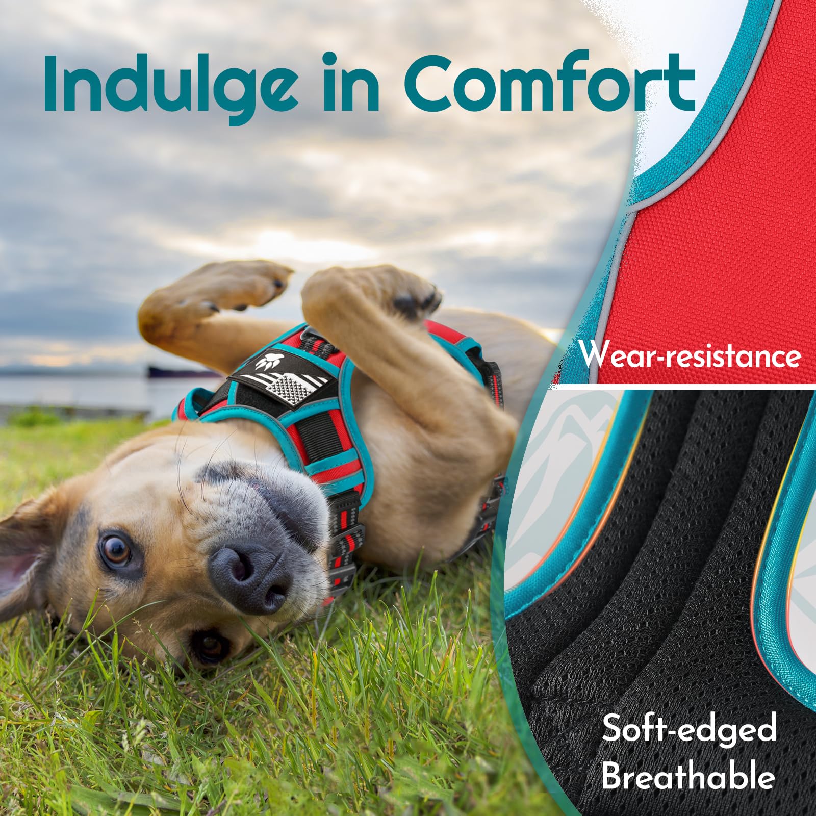 Eagloo dog harness front ring focus for redirection