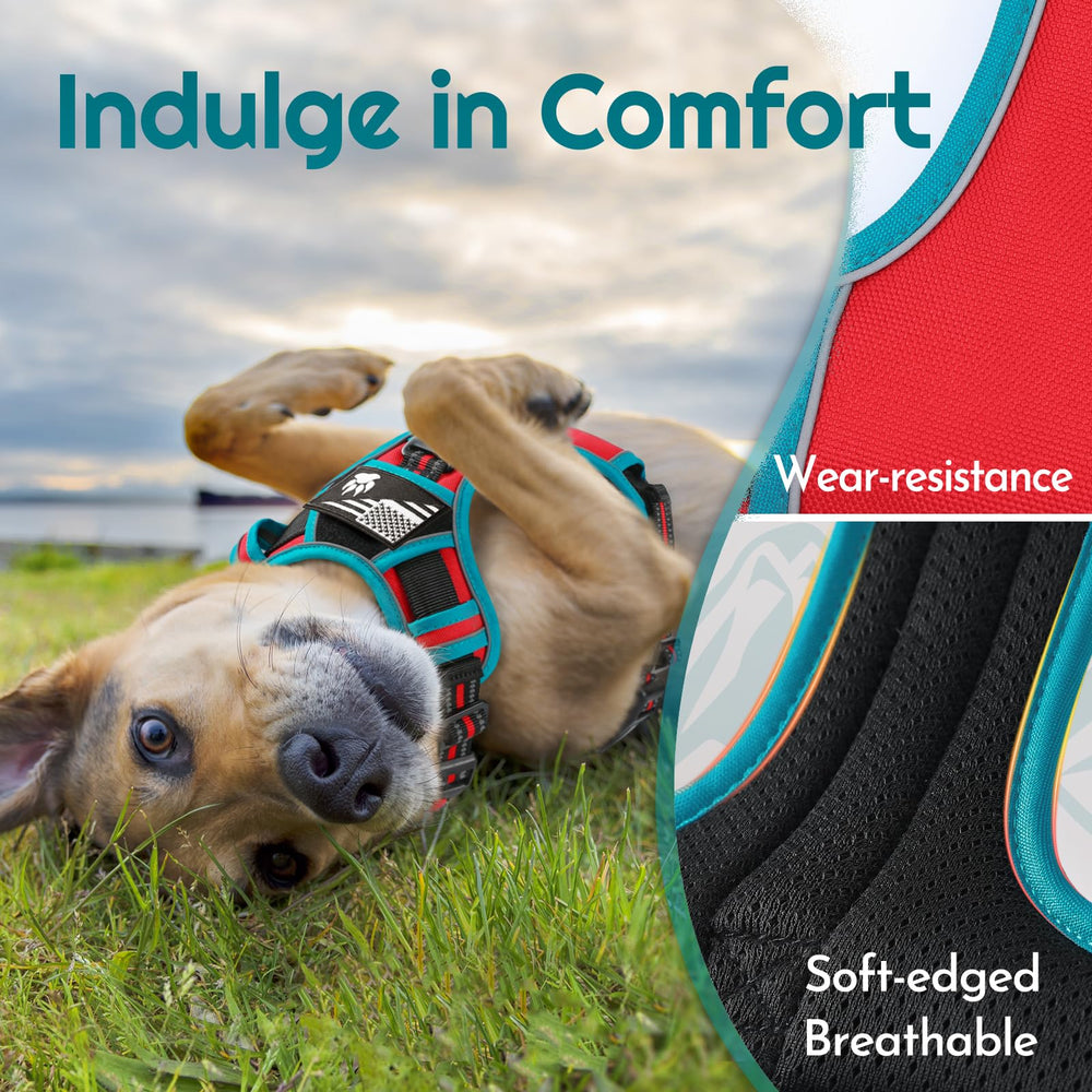 Eagloo dog harness front ring focus for redirection