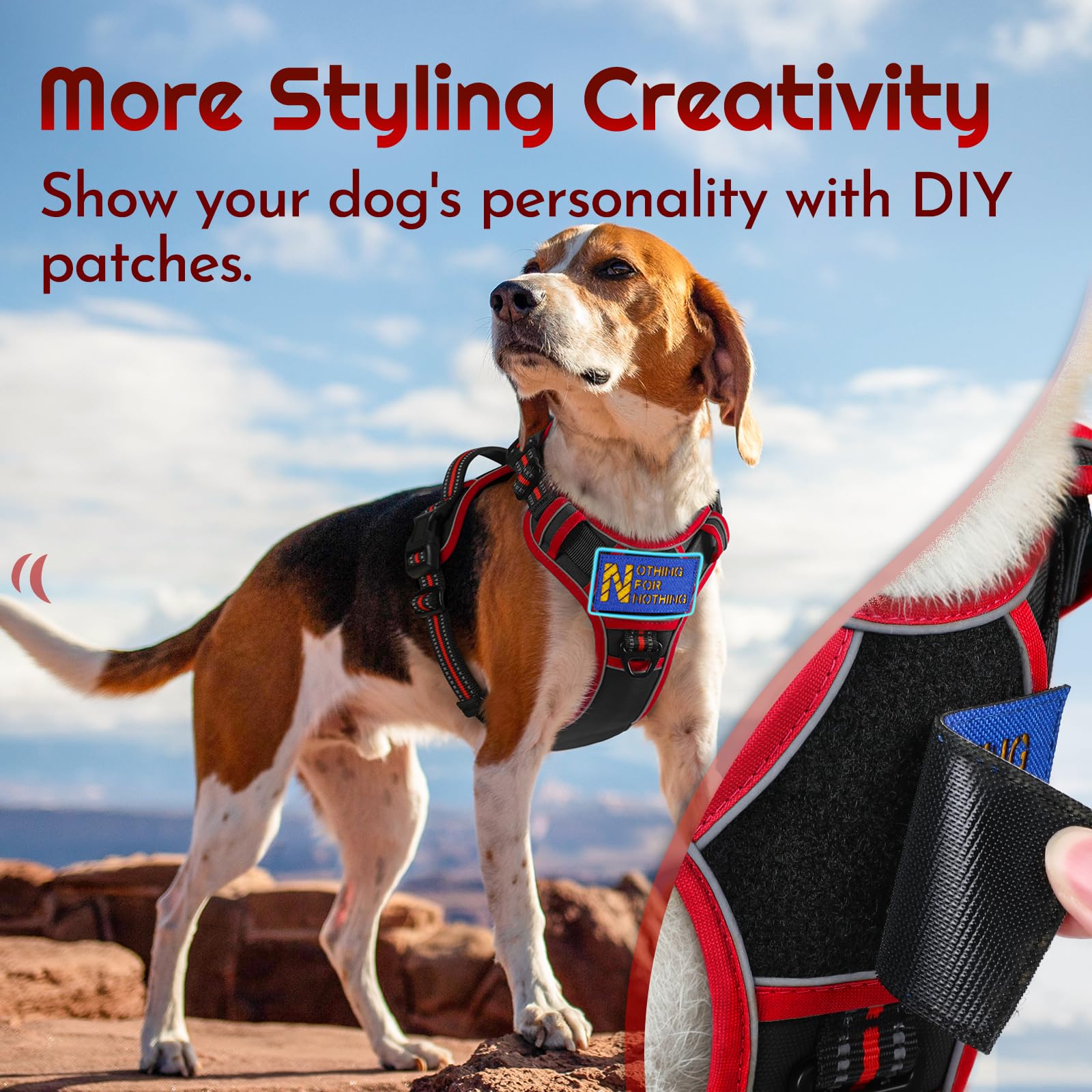 Eagloo four adjustable straps tailor fit for large breeds