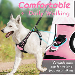 Eagloo dog harness large back view with dual leash rings for versatile control.