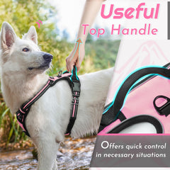 Eagloo dog harness large closeup of buckles and adjustment sliders for a secure fit.