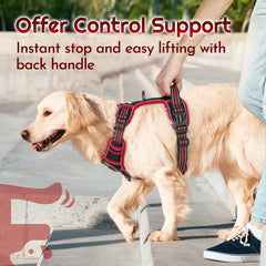 Eagloo harness includes a side control handle for emergency stops