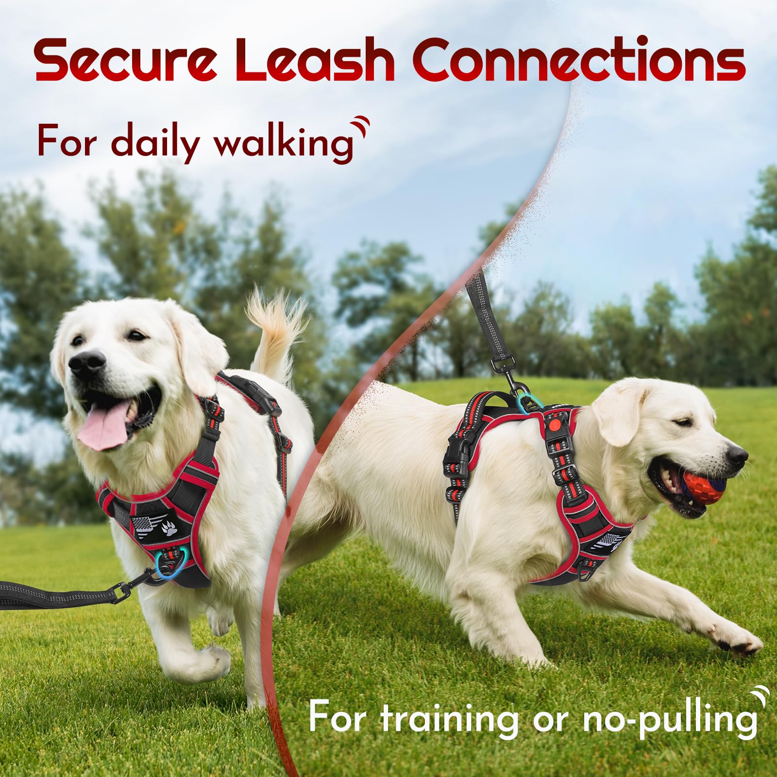 Eagloo harness front ring redirects forward motion for better walking control