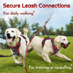 Eagloo harness front ring redirects forward motion for better walking control