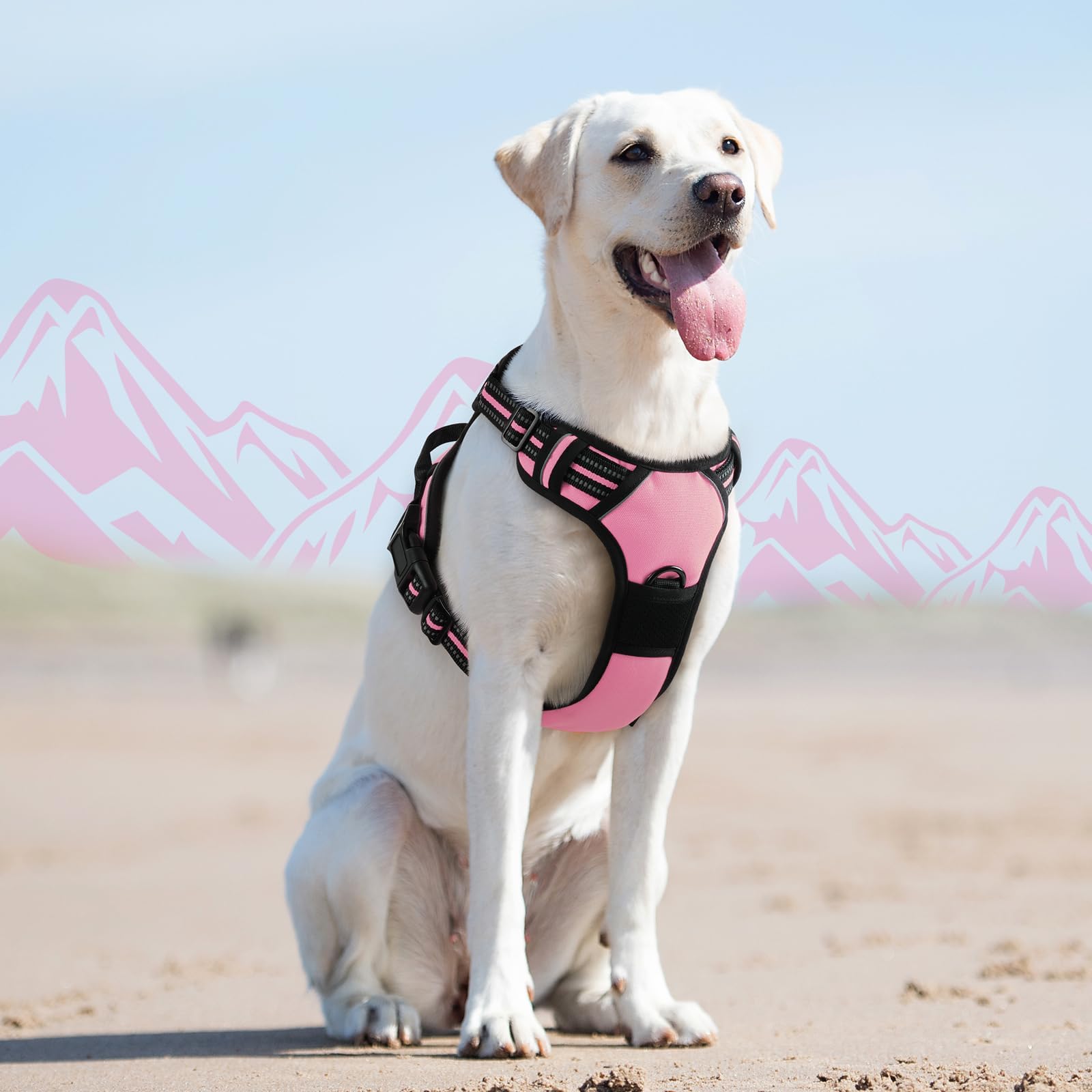 Eagloo dog harness large reflective strips boost visibility in low light.
