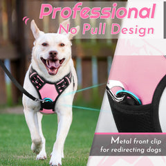 Eagloo dog harness large front view shows two-buckle system for quick wear.