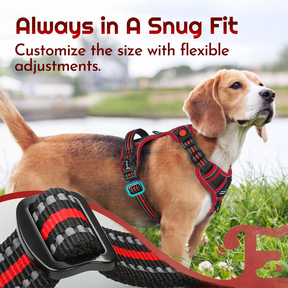 Eagloo soft mesh lining keeps dogs cool during all-day wear