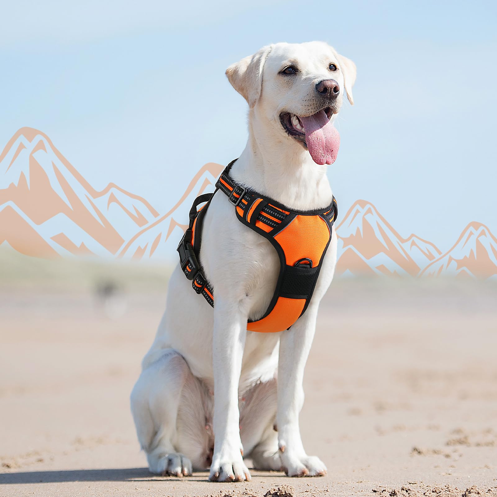 Eagloo safety-focused design distributes pressure away from the neck for comfort