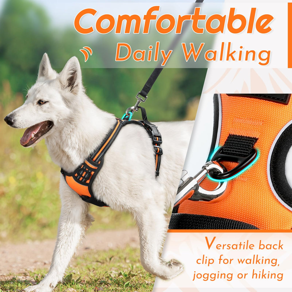 Eagloo harness with reflective strips improves night visibility and safety
