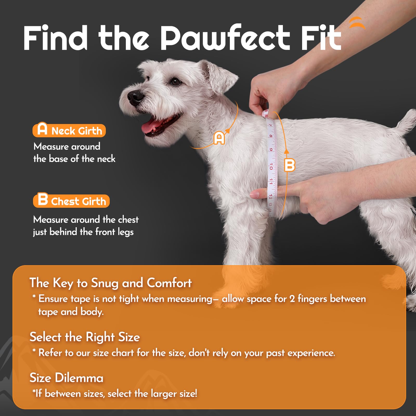 Eagloo harness and leash combo showing 5.1ft leash for relaxed walks.