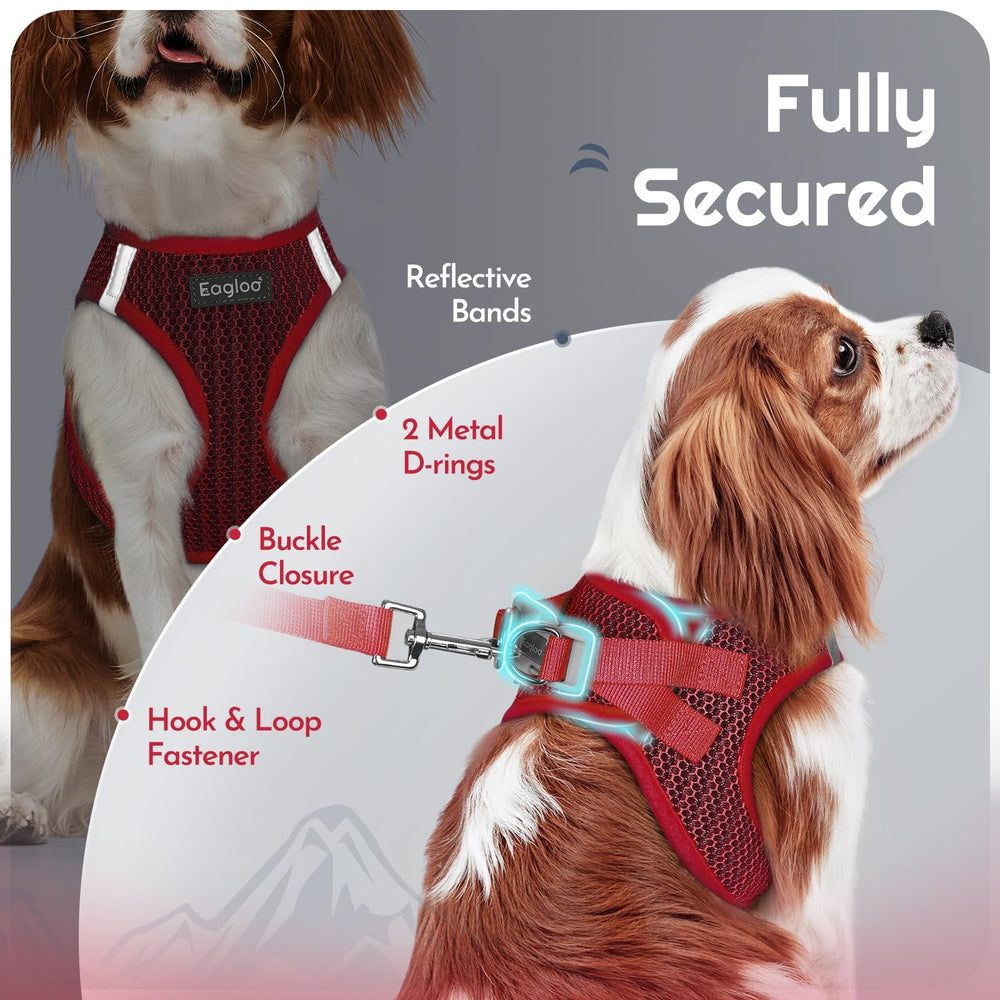 Eagloo high-visibility red harness improves safety in low light.