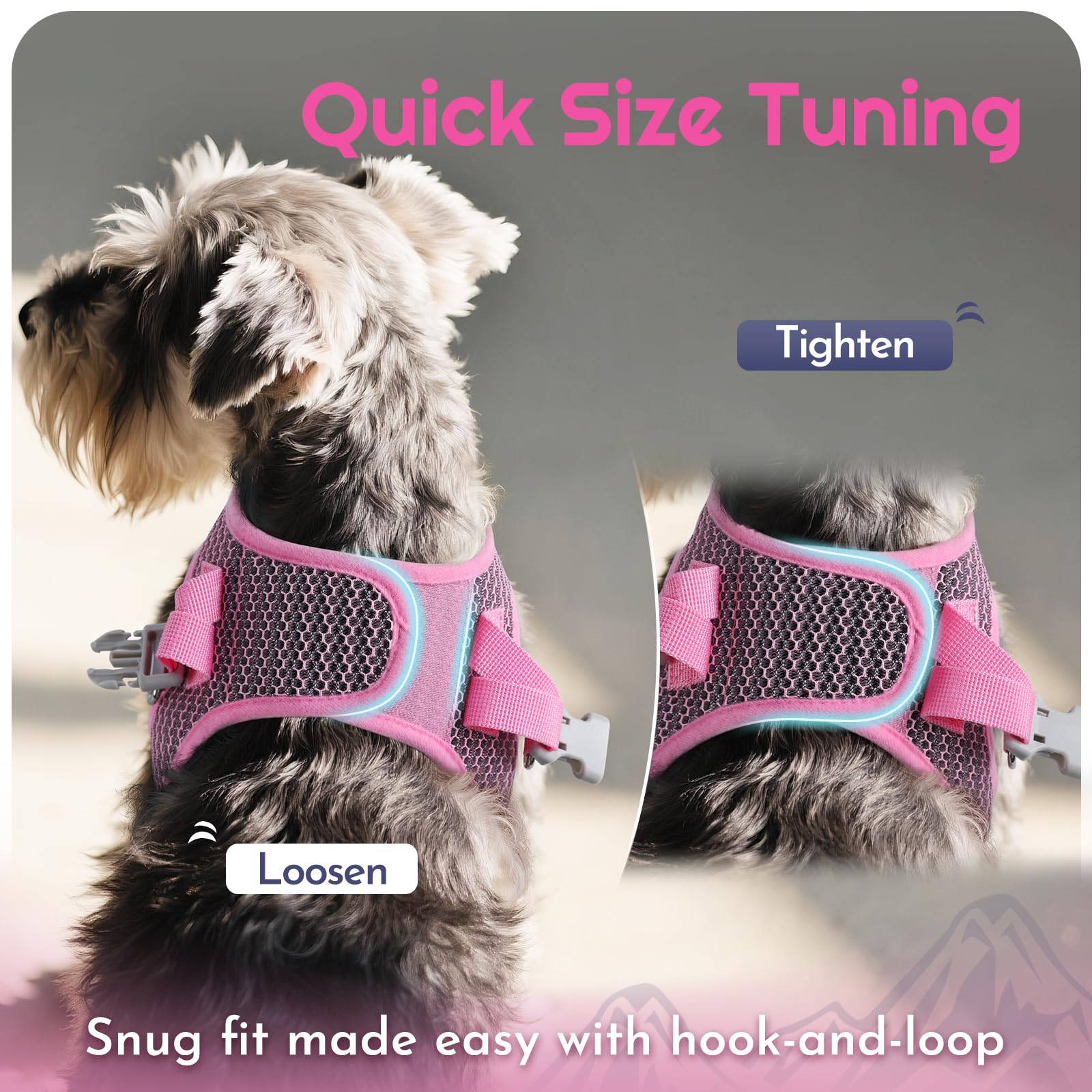 Eagloo night safety visible harness boosts awareness during low-light strolls.