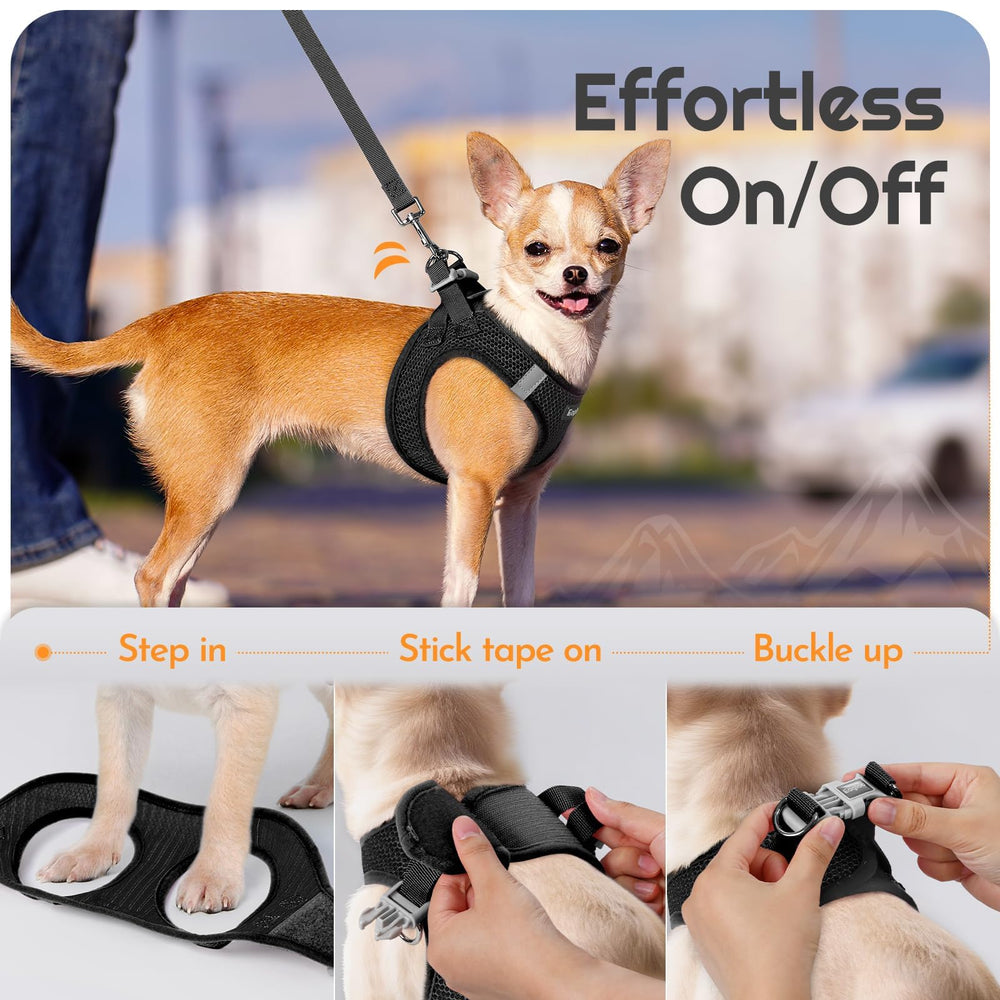 Eagloo padded leash handle for comfortable control during outings.