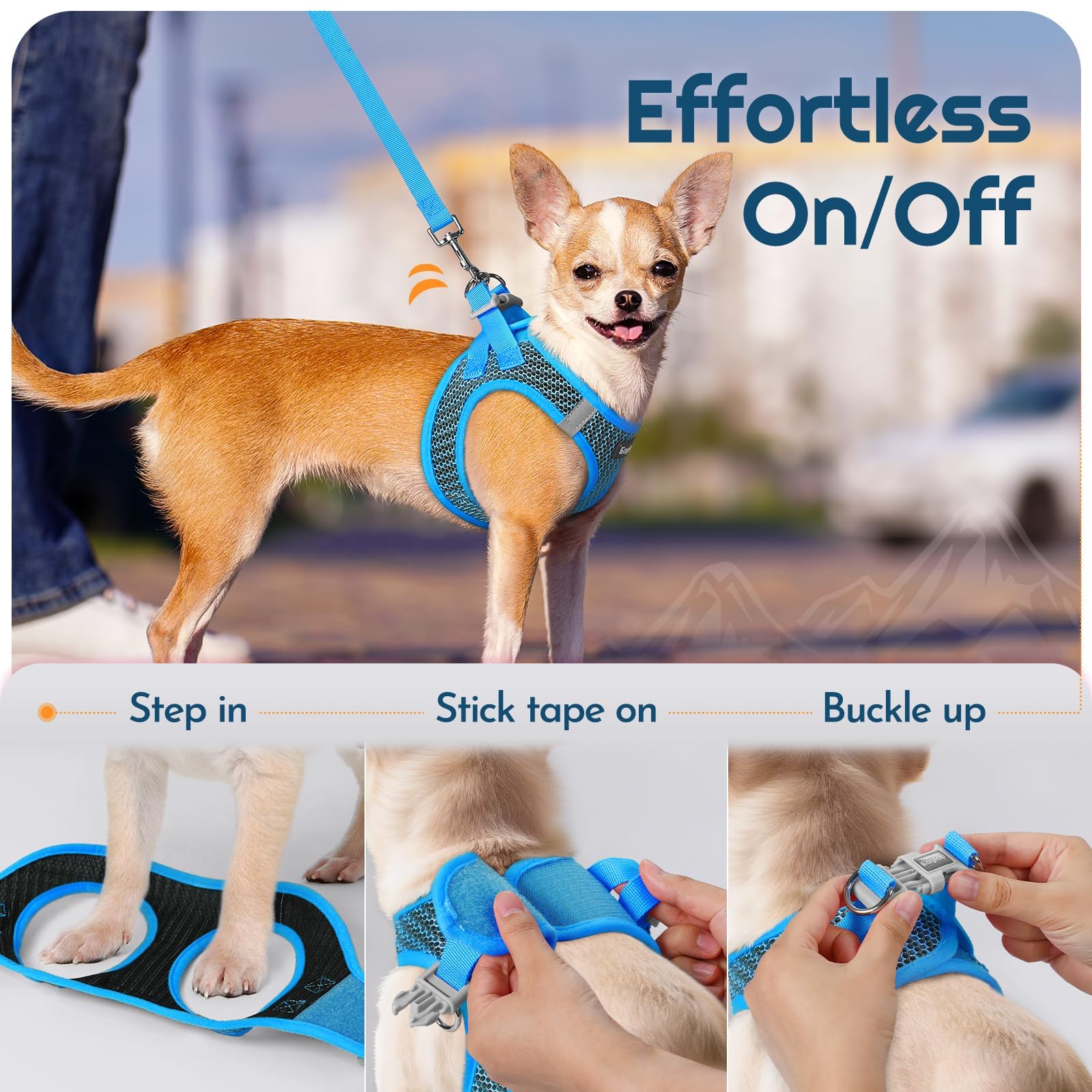 Eagloo size S guide helps you select the right fit for small breeds.