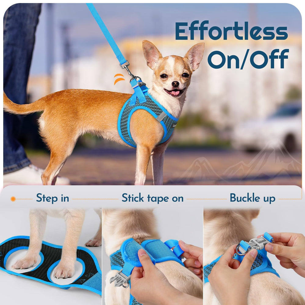 Eagloo size S guide helps you select the right fit for small breeds.