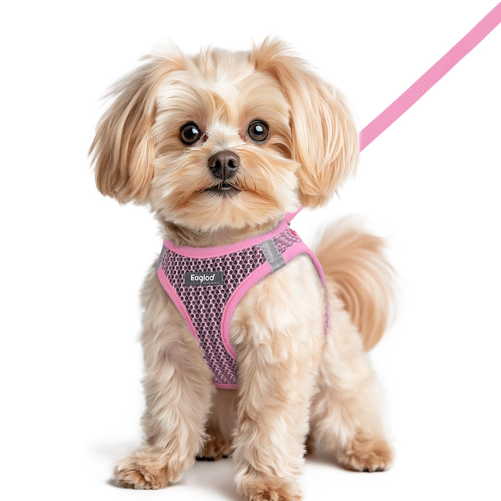 Eagloo small dog harness in pink, front view showing comfortable step-in design.