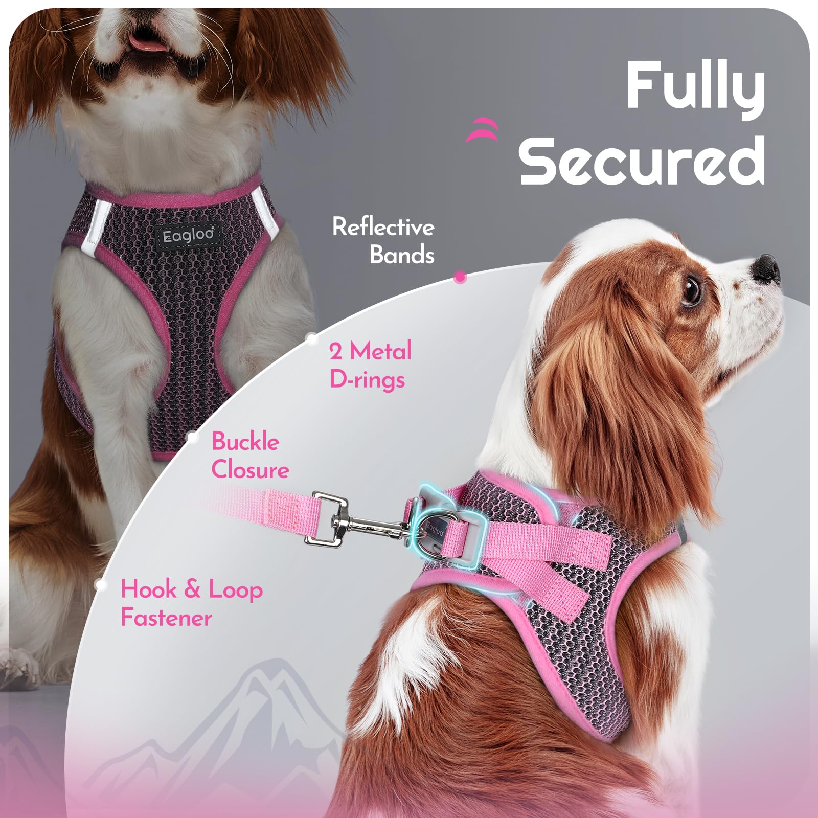 Eagloo harness features soft edges for gentle contact with small dogs.