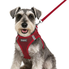 Eagloo small dog harness step-in vest for quick, secure fit during outings.