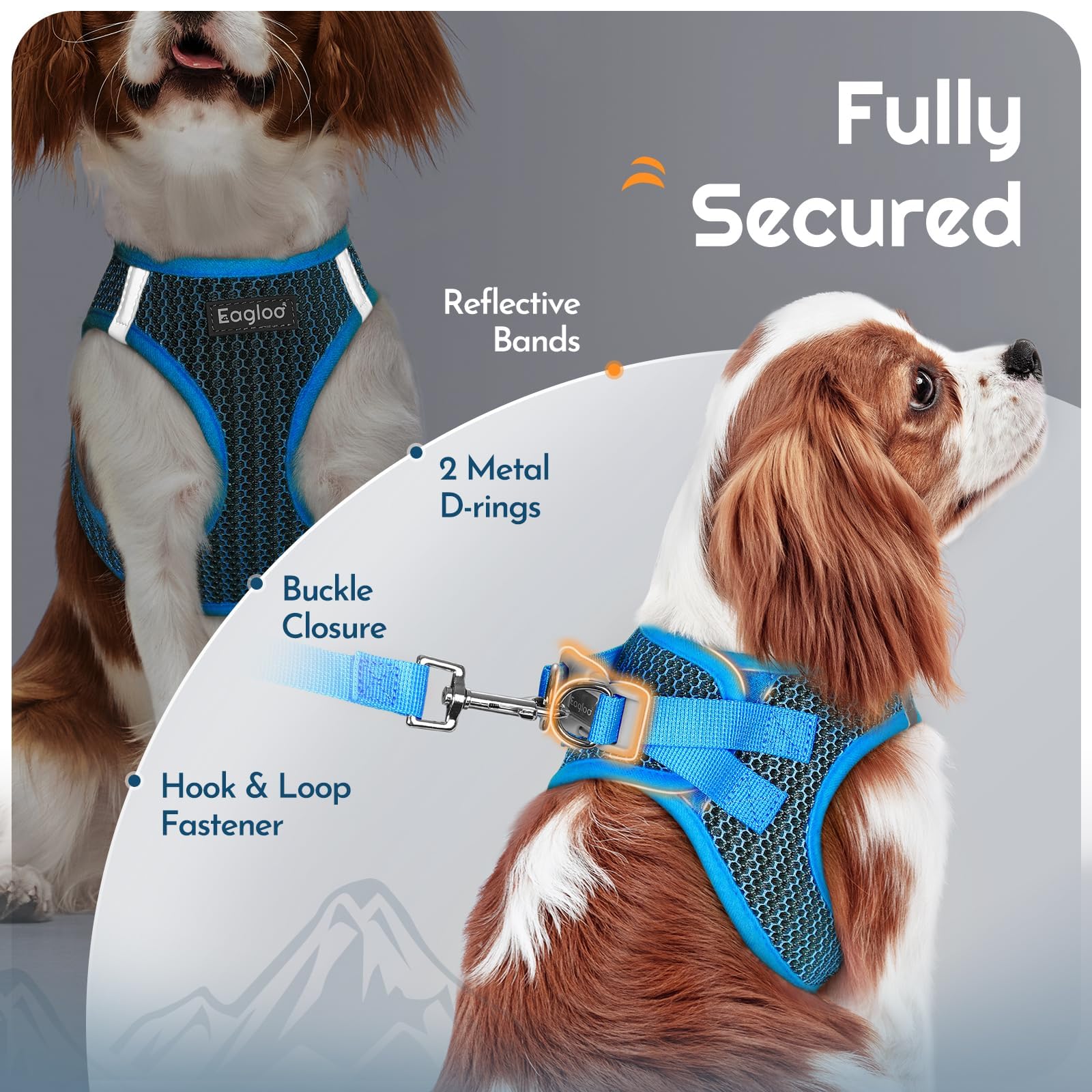 Eagloo strong buckle and back D-rings for reliable security.