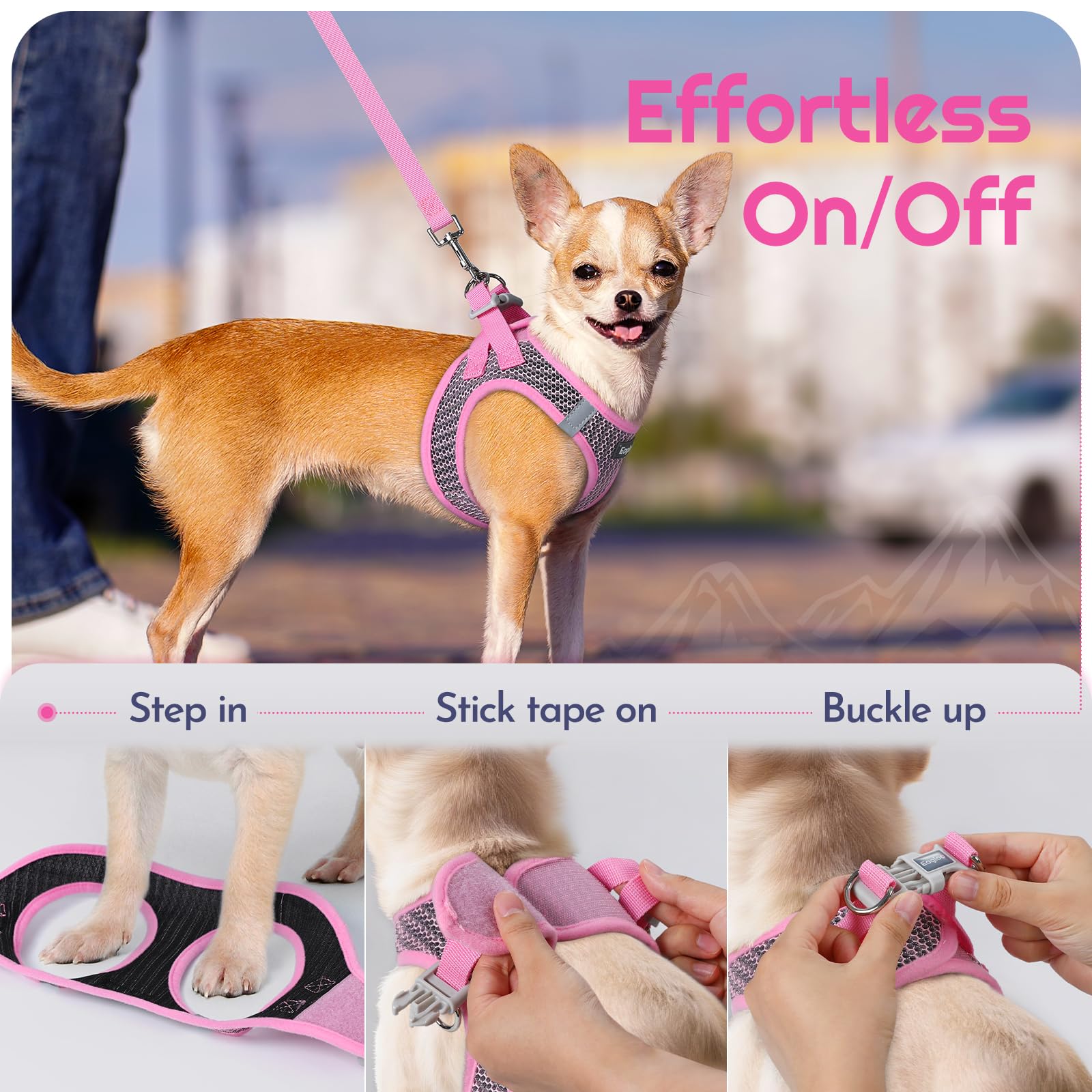 Eagloo-two-back-d-rings add versatile leash connection options.