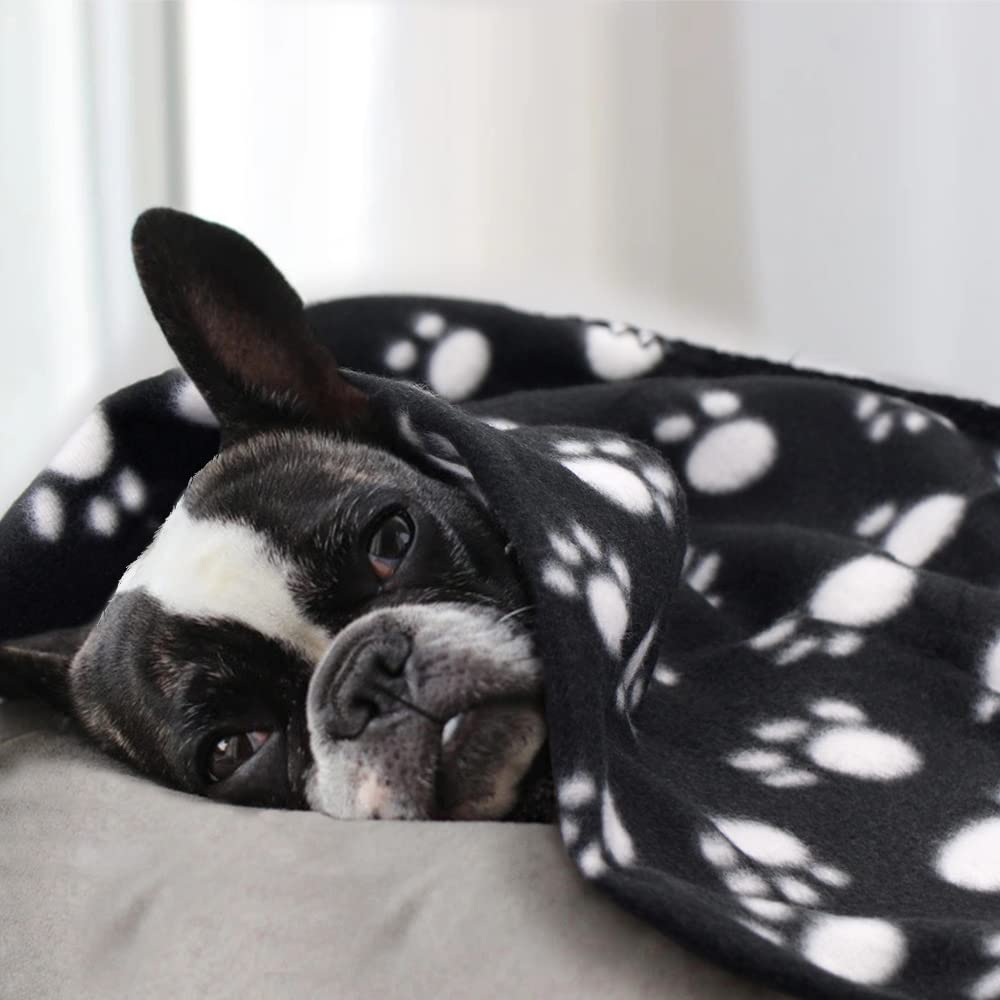 EAGMAK paw-prints blanket lifestyle image shows a cozy setup with pets.