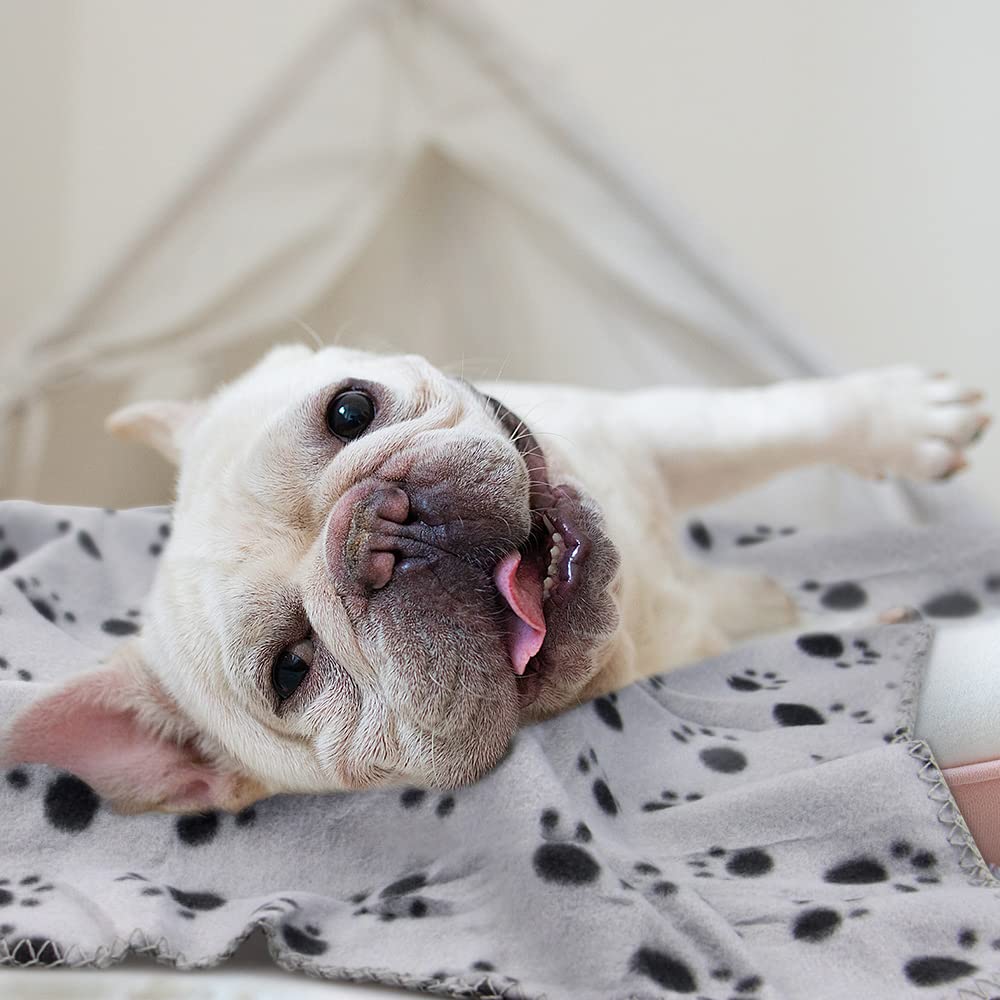 EAGMAK paw-prints blanket red suits quick snuggle sessions and car trips.